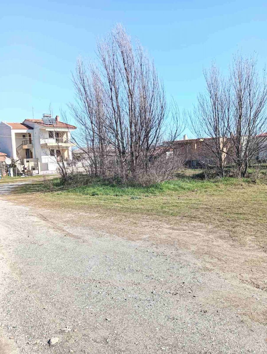 Οικόπεδο