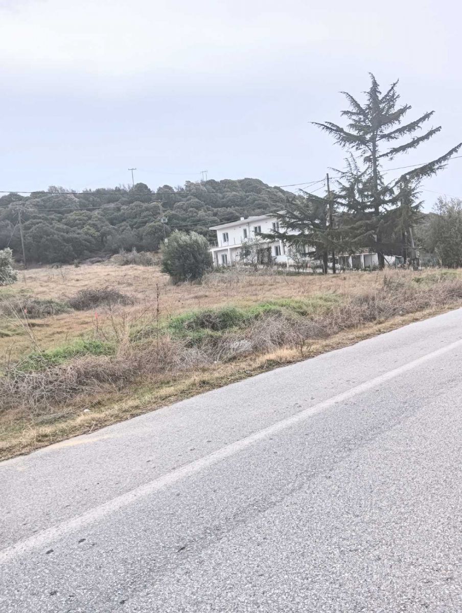 Οικόπεδο
