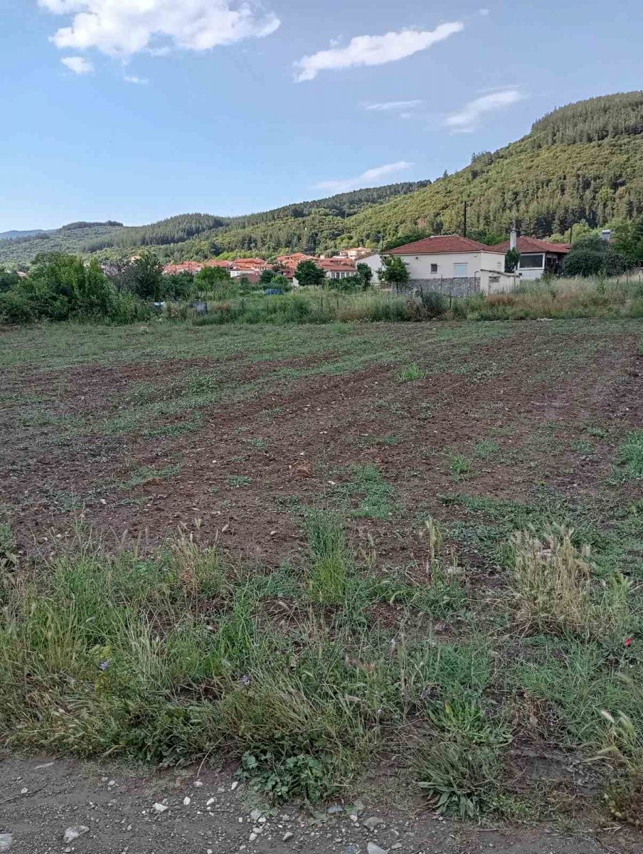 Οικόπεδο