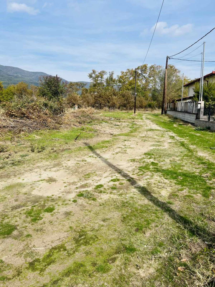 Οικόπεδο