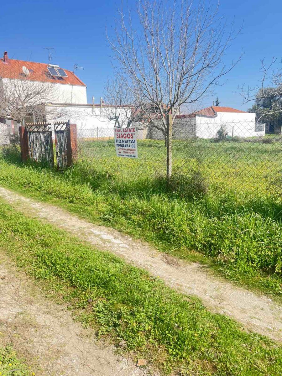 Οικόπεδο