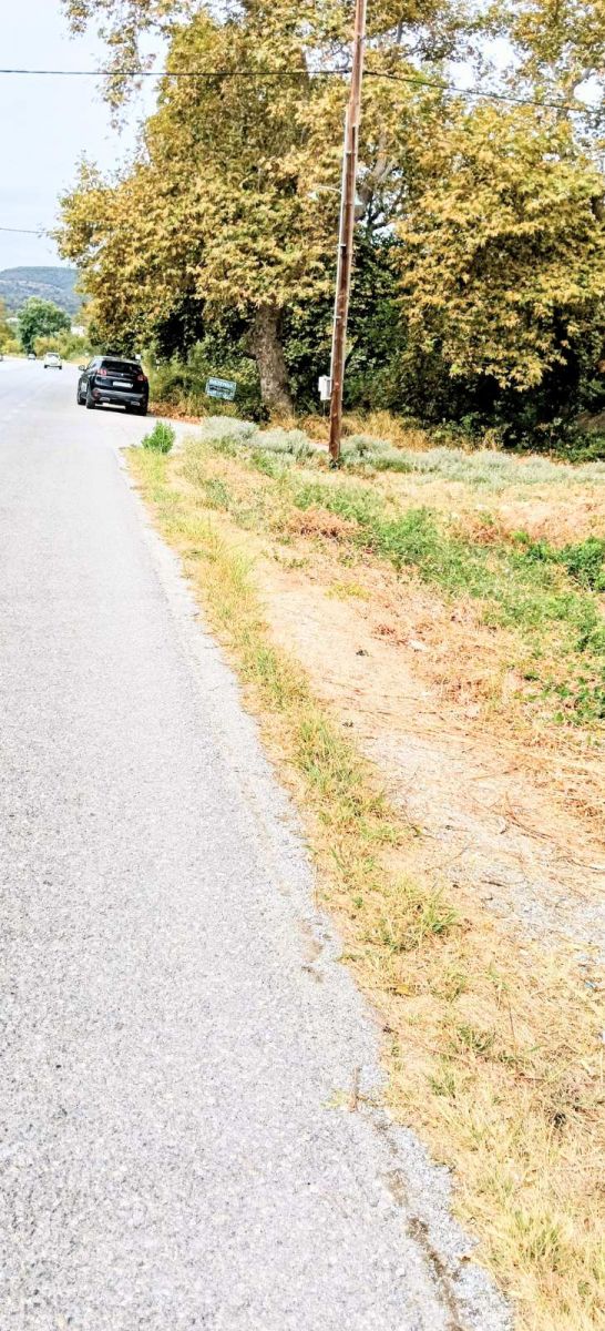 Οικόπεδο