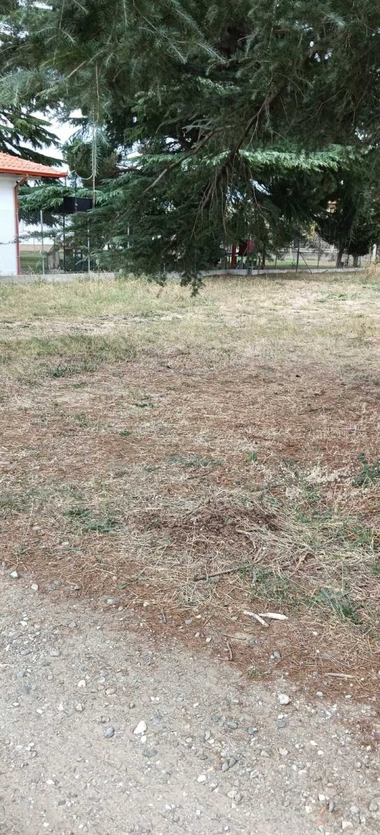 Οικόπεδο